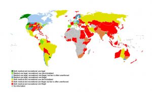 Map of global marijuana use