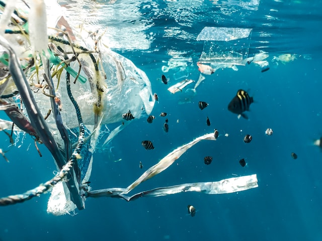 A school of fish swimming near a collection of marine debris including ropes, and plastic bags.